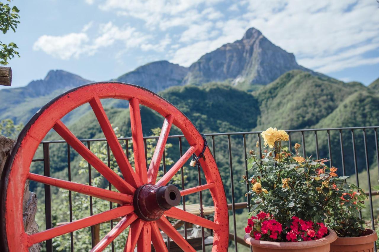 Borgo Delle Panie Bed & Breakfast Careggine ภายนอก รูปภาพ